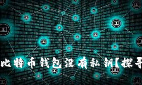 为什么暗网比特币钱包没有私钥？探寻背后的真相
