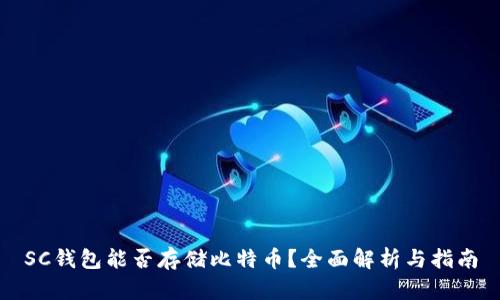 SC钱包能否存储比特币？全面解析与指南