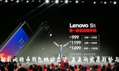 深入解析比特币钱包地址监管：未来的发展趋势