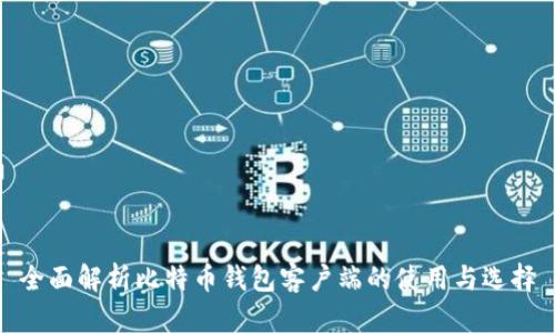 全面解析比特币钱包客户端的使用与选择