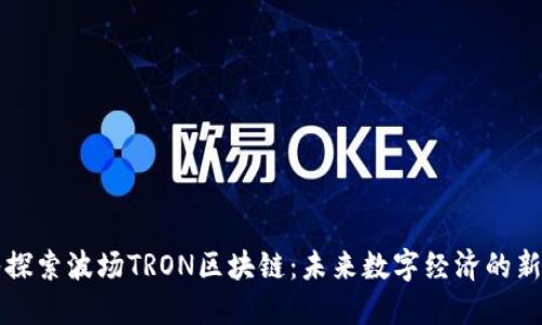 深入探索波场TRON区块链：未来数字经济的新基石