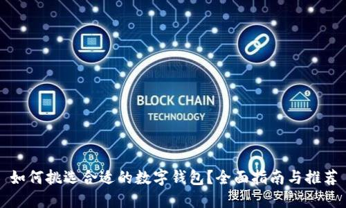 如何挑选合适的数字钱包？全面指南与推荐