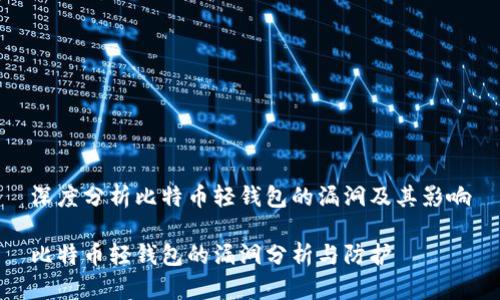 深度分析比特币轻钱包的漏洞及其影响

比特币轻钱包的漏洞分析与防护