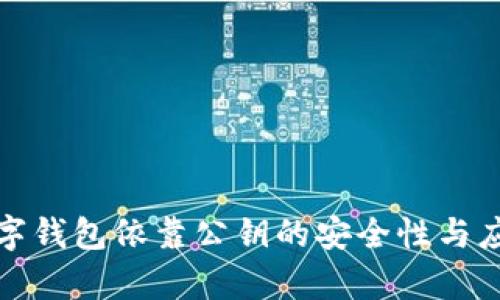 探索数字钱包依靠公钥的安全性与应用前景