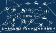 虚拟币钱包被黑了怎么办？应对指南与技巧