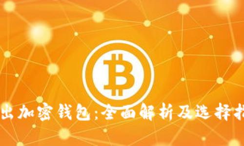 新出加密钱包：全面解析及选择指南